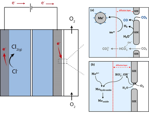 Schematic representation of the GDEx gas-diffusion electrocrystallization process